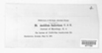 Image Associated With the Occurence